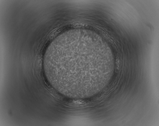 X0000116590753200912291308