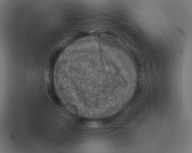 X0000116590755200912291308