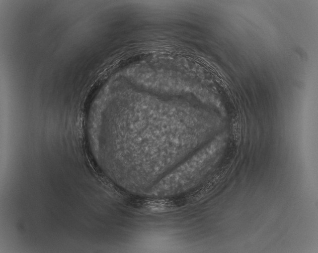 X0000116590757200912291308