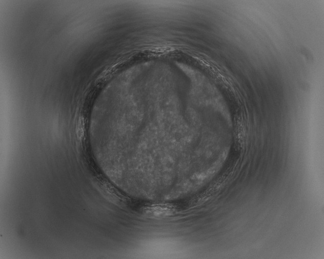 X0000116590758200912291308