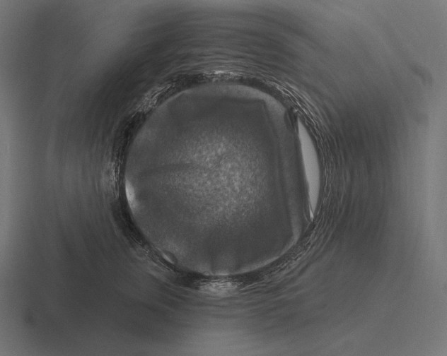 X0000116590759200912291308