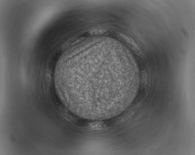 X0000116590761200912291308