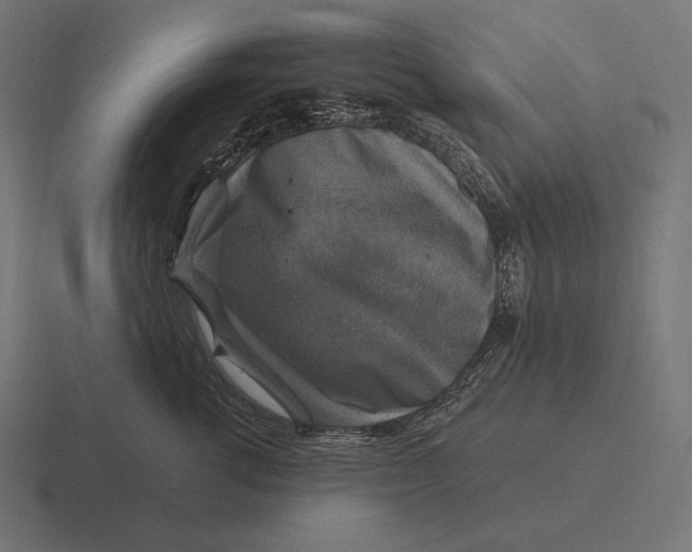 X0000116590762200912291308