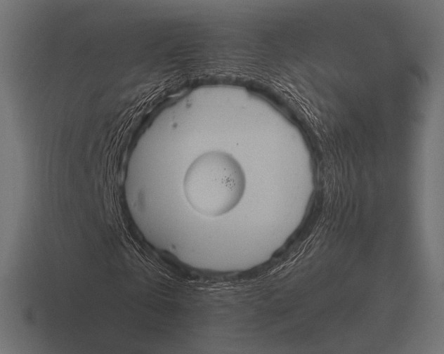 X0000116590769200912291307