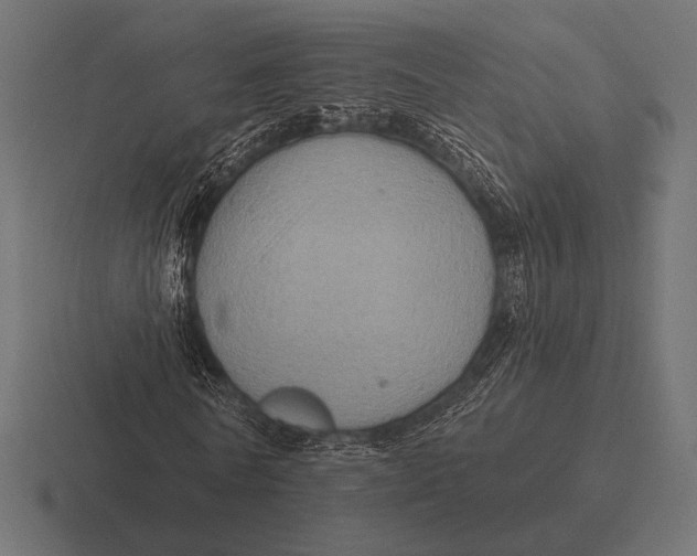 X0000116590770200912291307