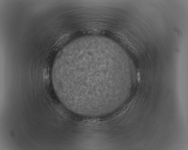 X0000116590771200912291307