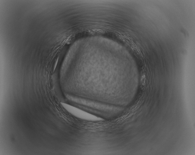 X0000116590772200912291307