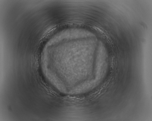 X0000116590774200912291307