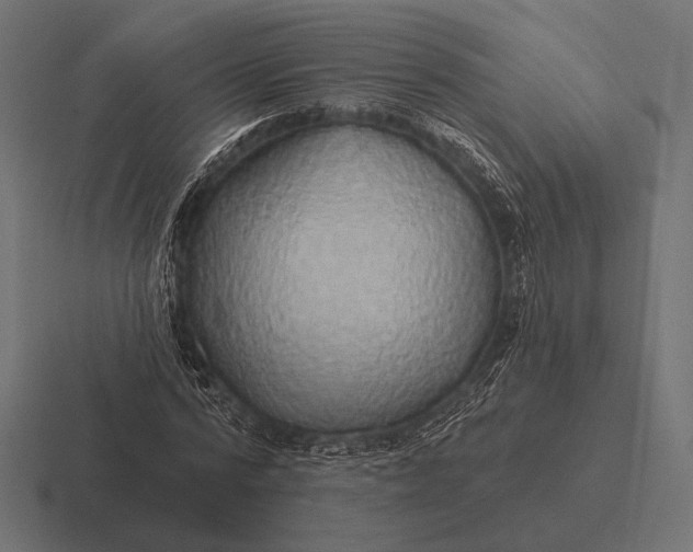 X0000116590776200912291307