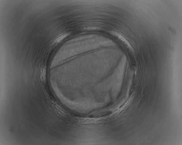 X0000116590777200912291307