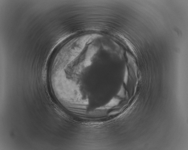 X0000116590779200912291307