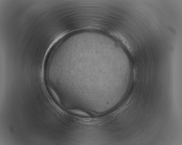 X0000116590780200912291307