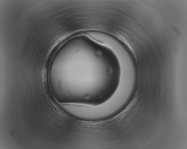 X0000116590781200912291307