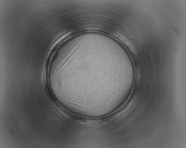 X0000116590782200912291307