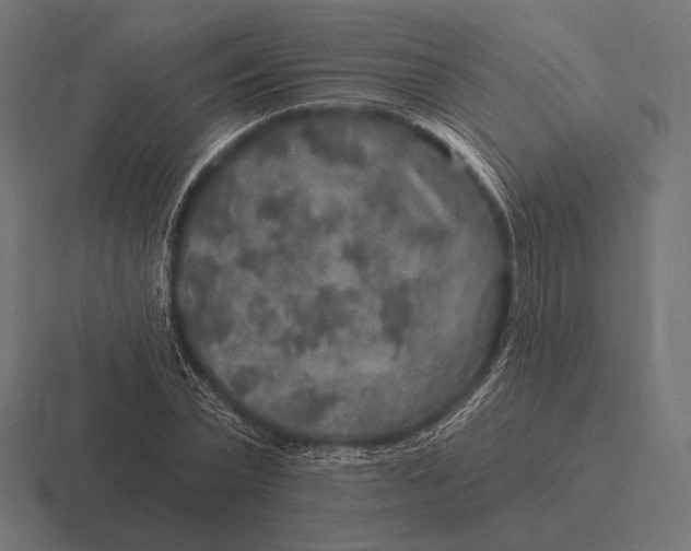 X0000116590783200912291307