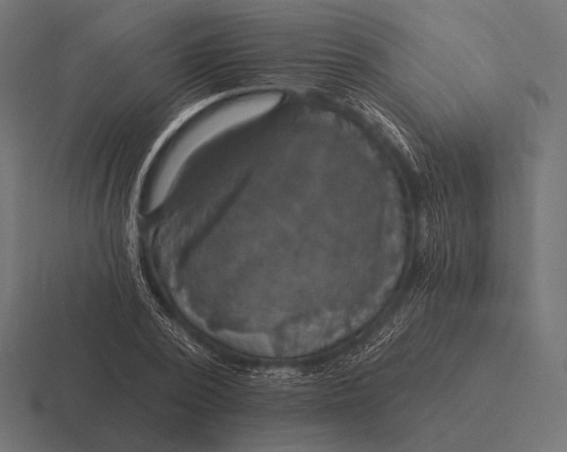 X0000116590784200912291307