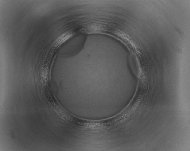 X0000116590785200912291307