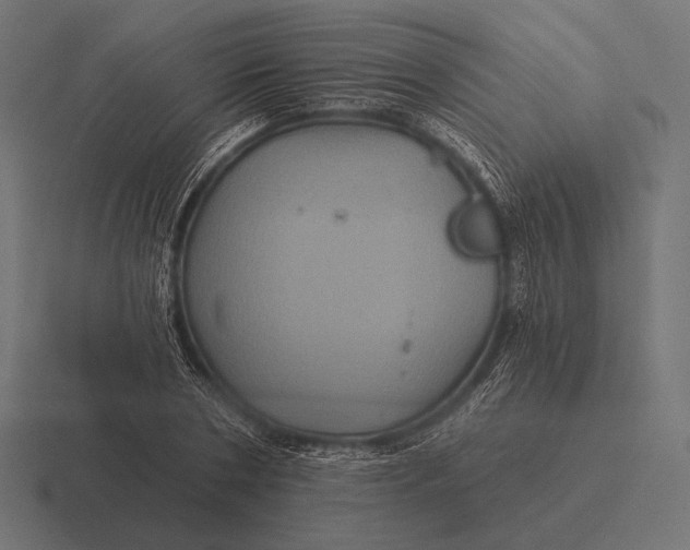 X0000116590786200912291307