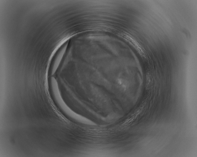 X0000116590788200912291307