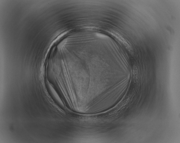 X0000116590790200912291307