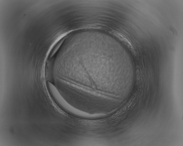 X0000116590792200912291307