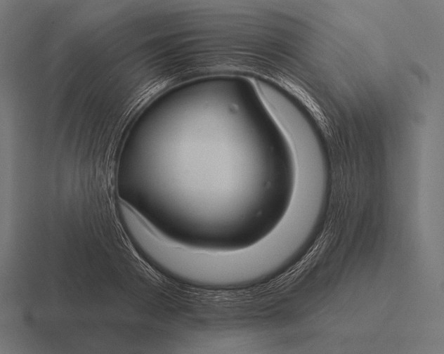 X0000116590793200912291307