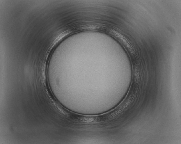 X0000116590794200912291307