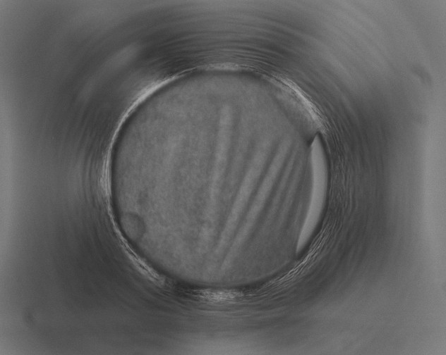 X0000116590795200912291307