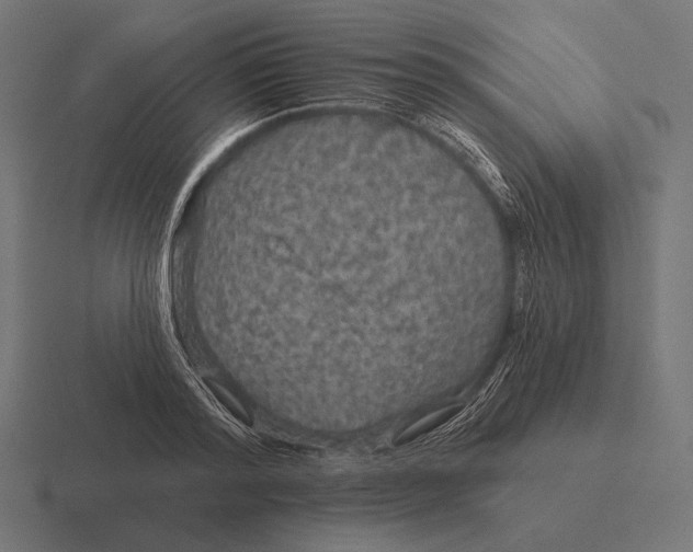 X0000116590796200912291307