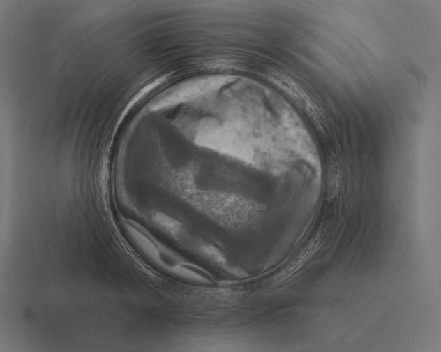 X0000116590798200912291307