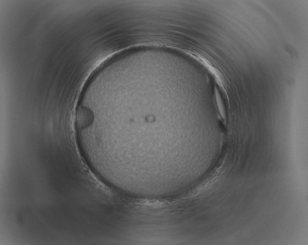 X0000116590799200912291307