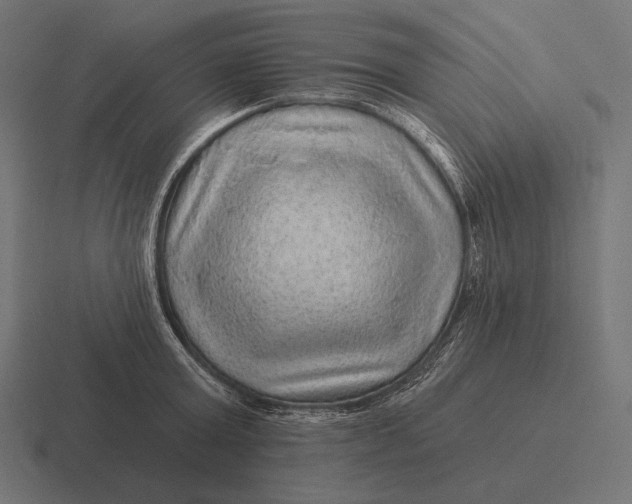 X0000116590803200912291307