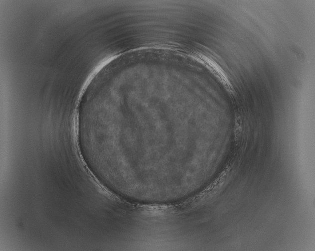 X0000116590804200912291307