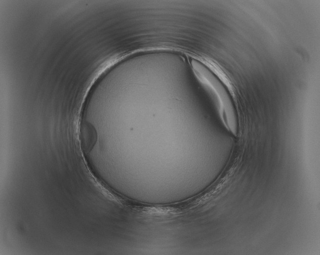 X0000116590805200912291307