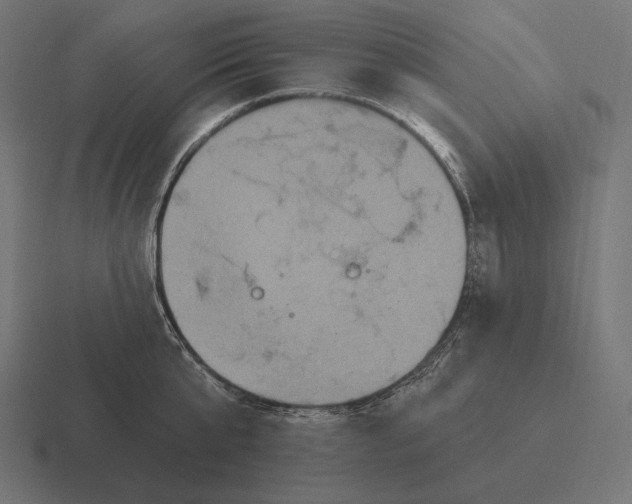 X0000116590807200912291307