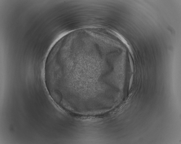 X0000116590811200912291307