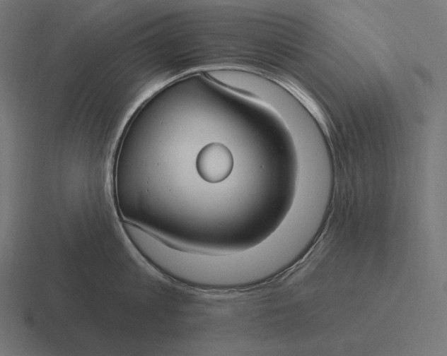 X0000116590813200912291307