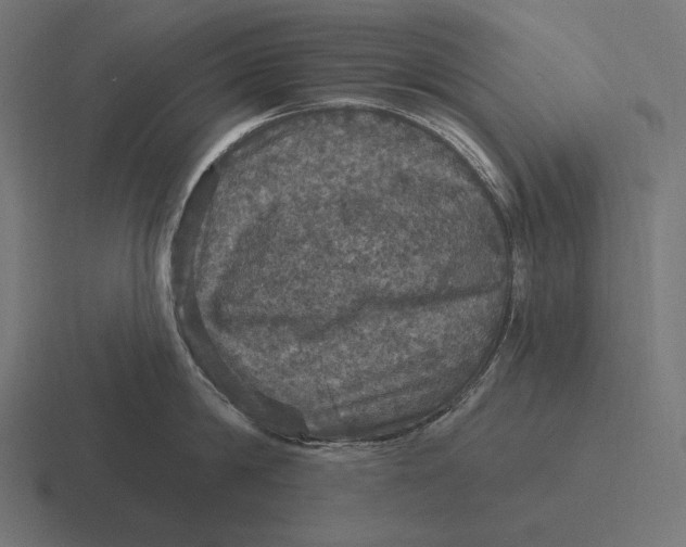 X0000116590814200912291307