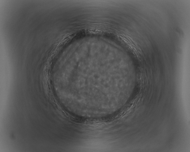 X0000116590817200912291306