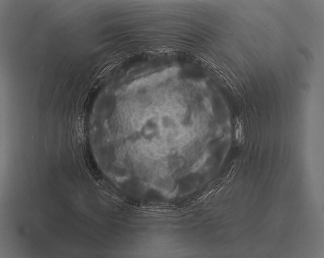 X0000116590819200912291306