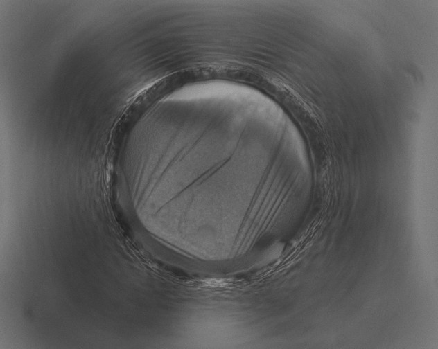 X0000116590822200912291306