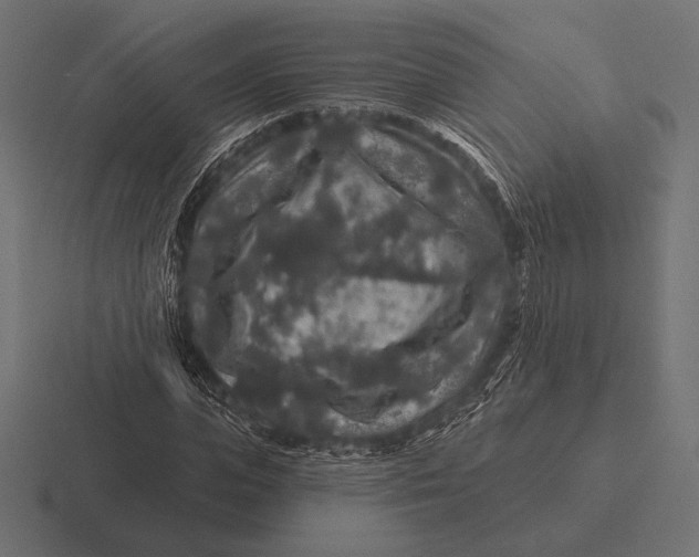 X0000116590823200912291306