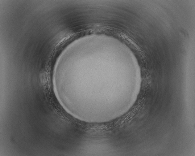 X0000116590824200912291306