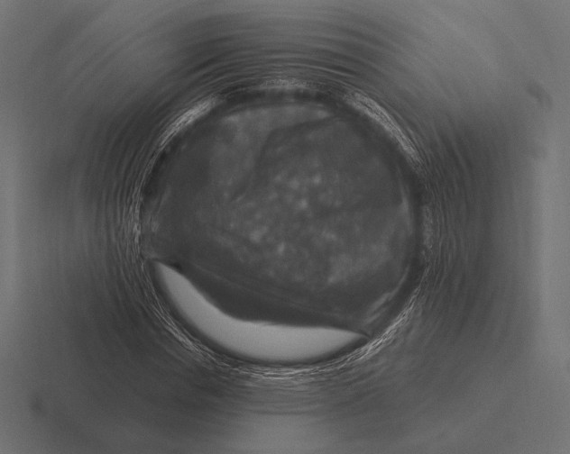 X0000116590826200912291306