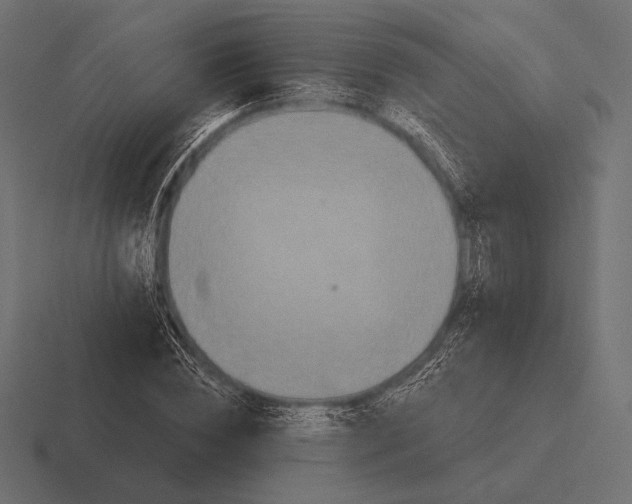 X0000116590828200912291306