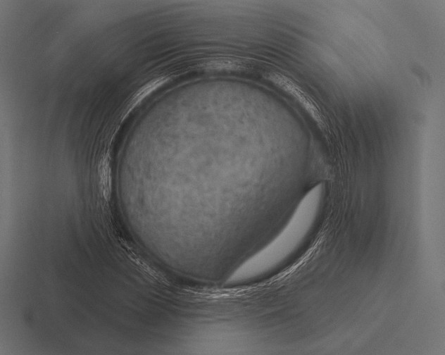 X0000116590829200912291306