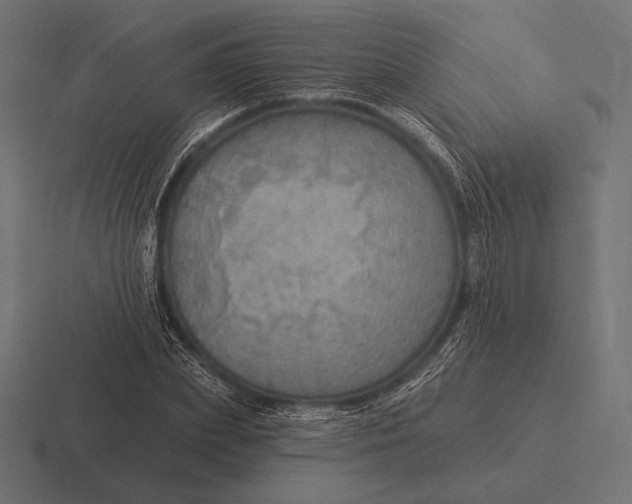 X0000116590831200912291306