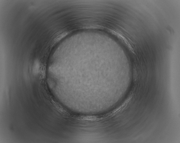 X0000116590833200912291306