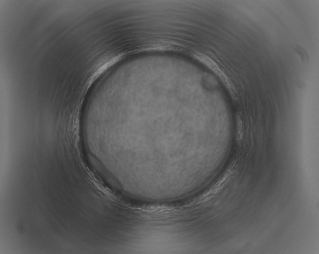 X0000116590834200912291306