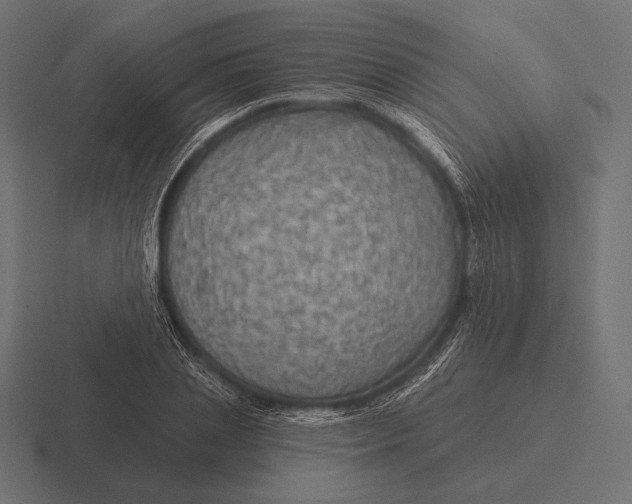 X0000116590837200912291306